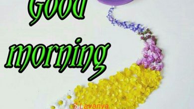 Flower great day morning image Greetings Images 390x220 - Flower great day morning image Greetings Images
