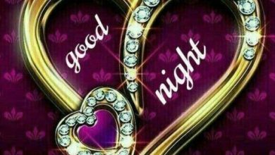 Good night messages for friends image 390x220 - Good night messages for friends image
