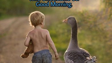 Happy morning boys and girls image 390x220 - Happy morning boys and girls image