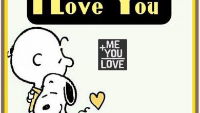 Because I Love You Love You Image 390x220 - Because I Love You Love You Image