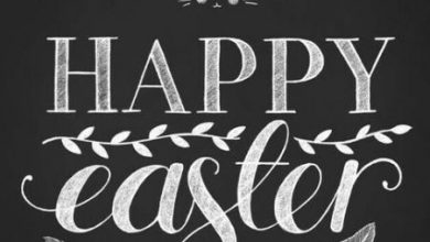 Easter Wishes Quotes Messages 390x220 - Easter Wishes Quotes Messages