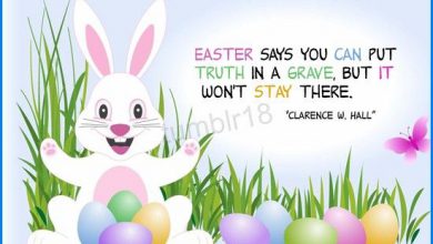 Funny Easter Greetings Quotes 390x220 - Funny Easter Greetings Quotes