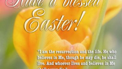 Funny Easter Wishes Messages 390x220 - Funny Easter Wishes Messages
