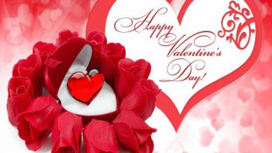 Greetings Of Happy Valentines Day Image 390x220 - Greetings Of Happy Valentines Day Image