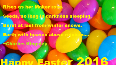 Happy Easter From 390x220 - Happy Easter From