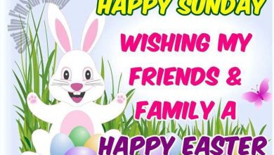 Happy Easter Greetings Sayings 390x220 - Happy Easter Greetings Sayings