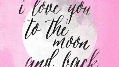 Just To Say I Love You Quotes Image 390x220 - Just To Say I Love You Quotes Image