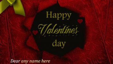 Lovers Day Special Image 390x220 - Lovers Day Special Image