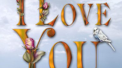 What I Love About You Image 390x220 - What I Love About You Image