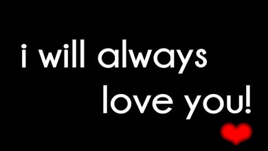 Words To Say I Love You Image 390x220 - Words To Say I Love You Image