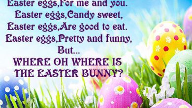 cool easter quotes 390x220 - cool easter quotes