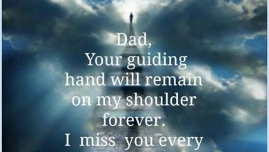 Fathers Day Messages From Daughter 390x220 - Fathers Day Messages From Daughter