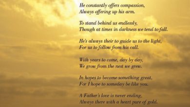 Fathers Day Quotes 390x220 - Fathers Day Quotes