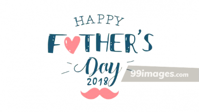 Fathers Day Sayings From Daughter 390x220 - Fathers Day Sayings From Daughter