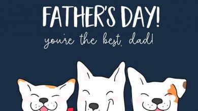 Fathers Day Sentiments 390x220 - Fathers Day Sentiments
