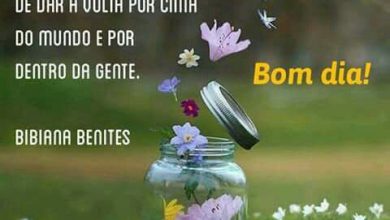 Frase Bem Bonita De Bom Dia Para Facebook 390x220 - Frase Bem Bonita De Bom Dia Para Facebook