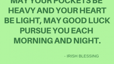 Funny Irish Quotes 390x220 - Funny Irish Quotes