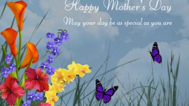 Happy Mothers Day To All Mothers 390x220 - Happy Mothers Day To All Mothers