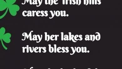 Happy St Patricks Day In Irish 390x220 - Happy St Patrick’s Day In Irish