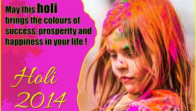 Holi Related Words 390x220 - Holi Related Words
