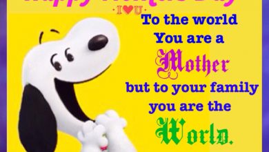 Mothers Day 2019 Messages 390x220 - Mother’s Day 2019 Messages
