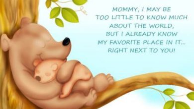 Mothers Day Message Short 390x220 - Mothers Day Message Short