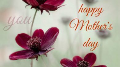Mothers Day Quotes And Messages 390x220 - Mothers Day Quotes And Messages