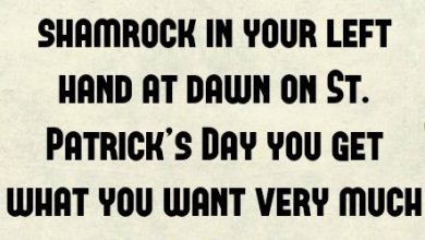 St Patrick Sayings Quotes 390x220 - St Patrick Sayings Quotes