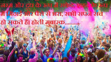 What Does Holi Mean 390x220 - What Does Holi Mean