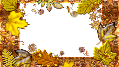 Autumn in the Town photo frame 390x220 - Autumn in the Town photo frame