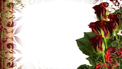 cornice adorabile delle rose 390x220 - cornice adorabile delle rose