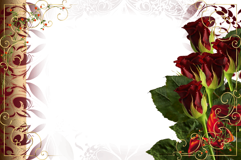 cornice adorabile delle rose - cornice adorabile delle rose