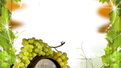 онлайн виноград вино 390x220 - фоторамка онлайн виноград вино