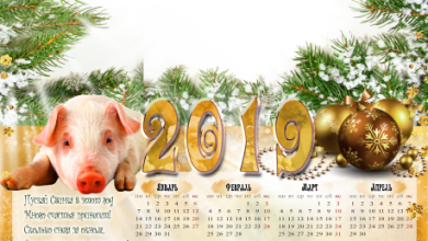 онлайн календар так свиной и пожеланиями 390x220 - фоторамка онлайн календар так свиной и пожеланиями