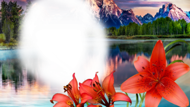 онлайн природа горы цветы озеро  390x220 - фоторамка онлайн природа горы цветы озеро