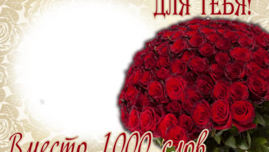 онлайн розы надпис для тебя 390x220 - фоторамка онлайн розы надпис для тебя