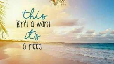 Happy Summer Quotes image 390x220 - Glad Summer season Quotes picture