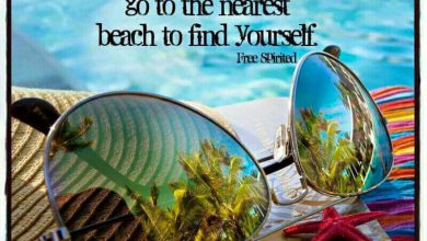 Summertime Quotes Funny image 390x220 - Summertime Quotes Humorous picture