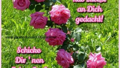 Gratis Bilder Guten Morgen