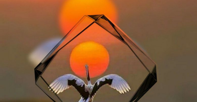 Birds happy morning images Greetings Images
