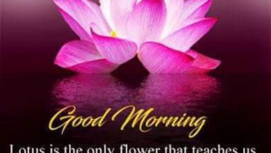 Flower sweet morning image Greetings Images