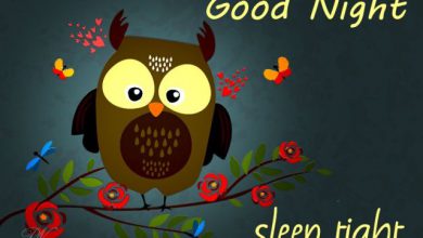 Good night logo image