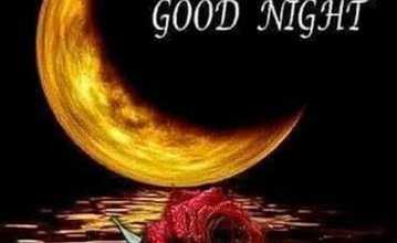 Good night sms image