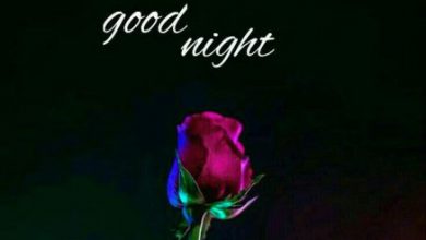 Good night wishes image