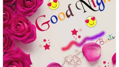 Lovely night wishes image