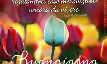 Frasi Belle Di Buongiorno Per Lei Immagini