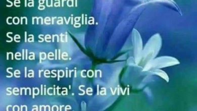 Frasi Divertenti Per Il Buongiorno Immagini