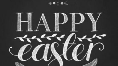 Happy Easter Messages To Clients 390x220 - Happy Easter Messages To Clients