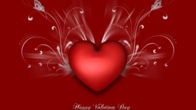 Happy Valentines Day And Happy Birthday Image