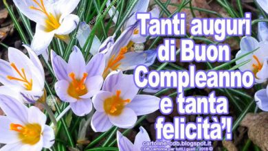 Immagini Buon Compleanno Immagini